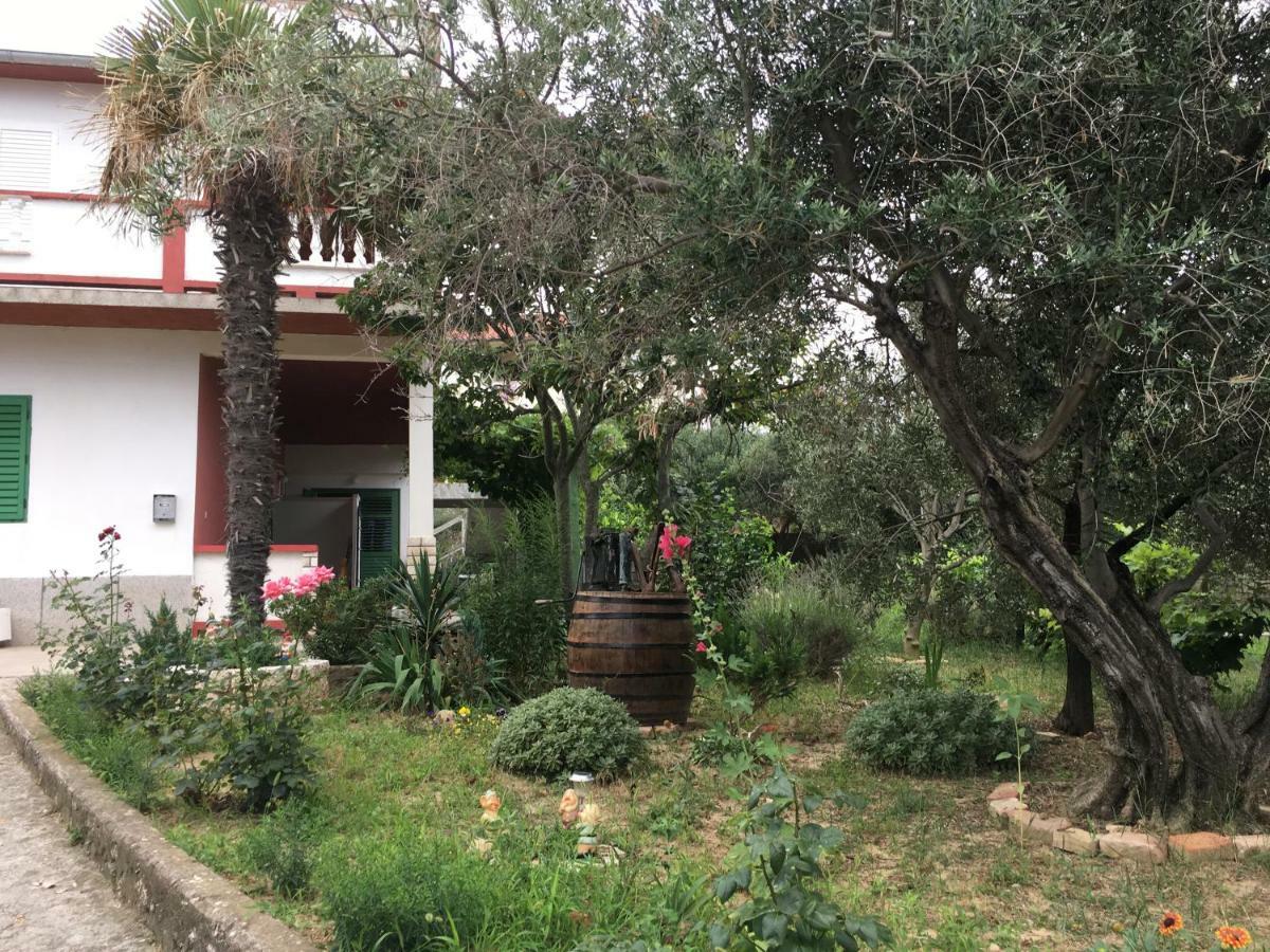 Apartments Ankica Kampor Εξωτερικό φωτογραφία